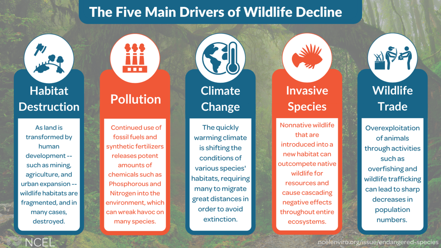 The Five Main Drivers Of Wildlife Decline National Caucus Of the-five-main-drivers-of-wildlife-decline-national-caucus-of