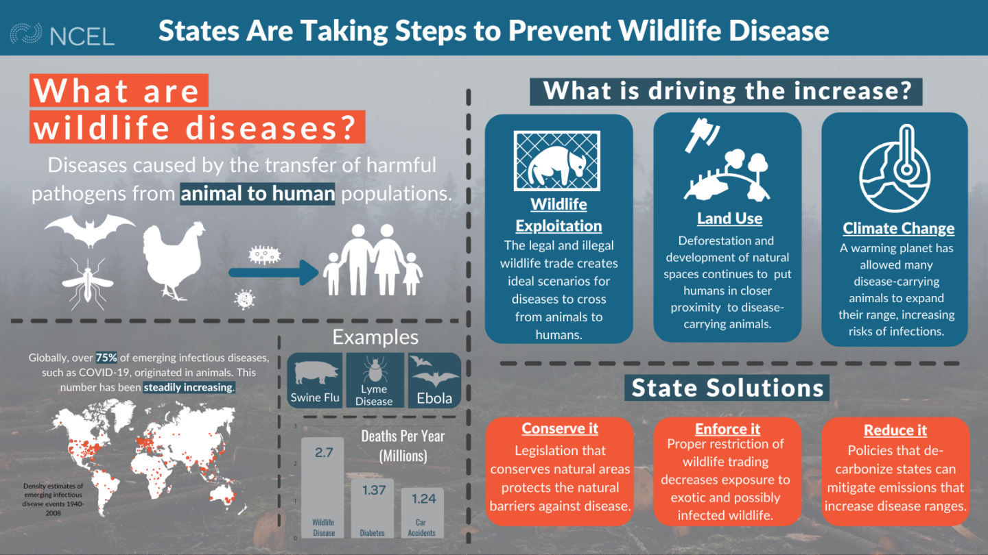 States Are Taking Steps to Prevent Wildlife Disease National Caucus