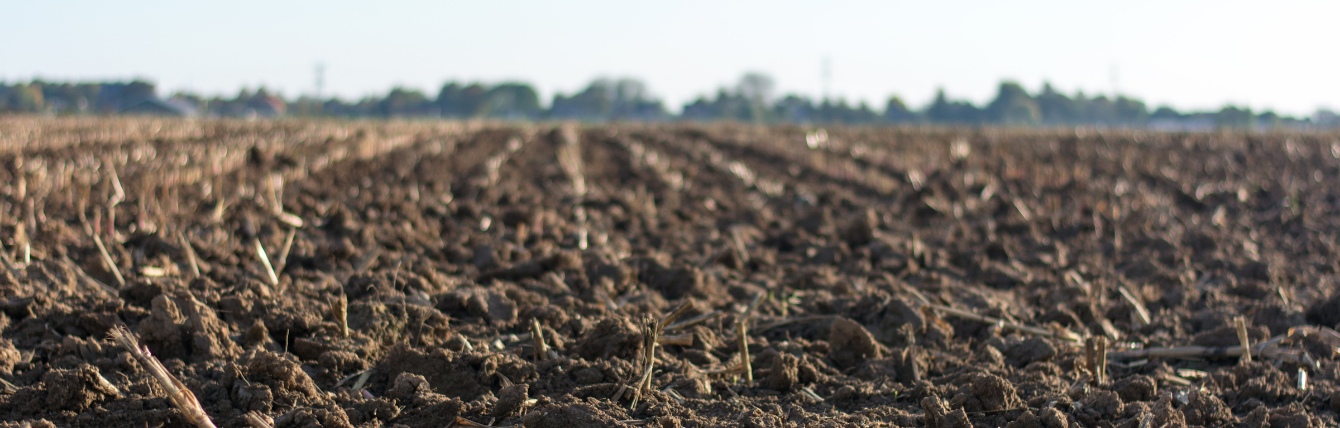 Soil Health