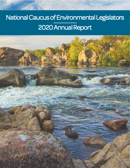 Cover of 2020 Annual Report