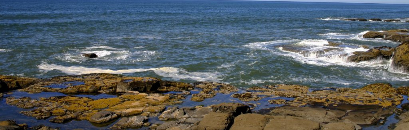 Coastal Hazards and Risks Fact Sheet | National Caucus of Environmental ...