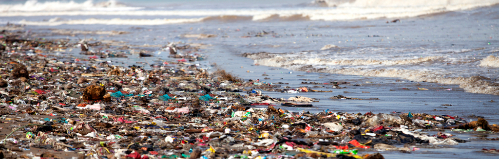 Environmental Pollution on the Beach