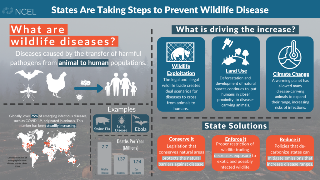 States Working To Prevent Spread of Wildlife Diseases | National Caucus of  Environmental Legislators