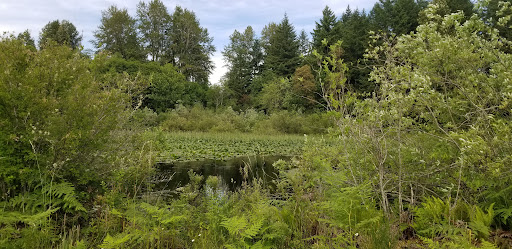 #RecreateResponsibly - Chehalis Trail