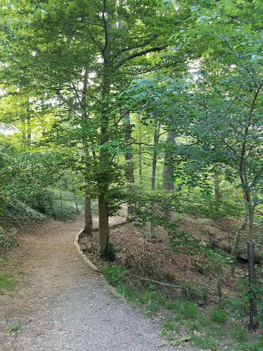 Recreate Responsibly - Rock Creek Park