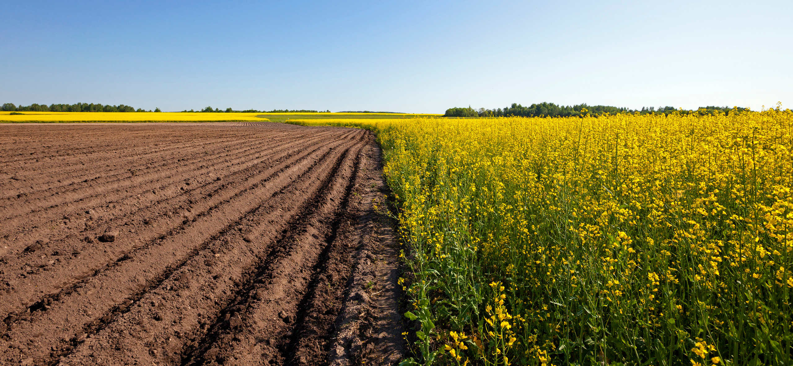 Sustainable Agriculture